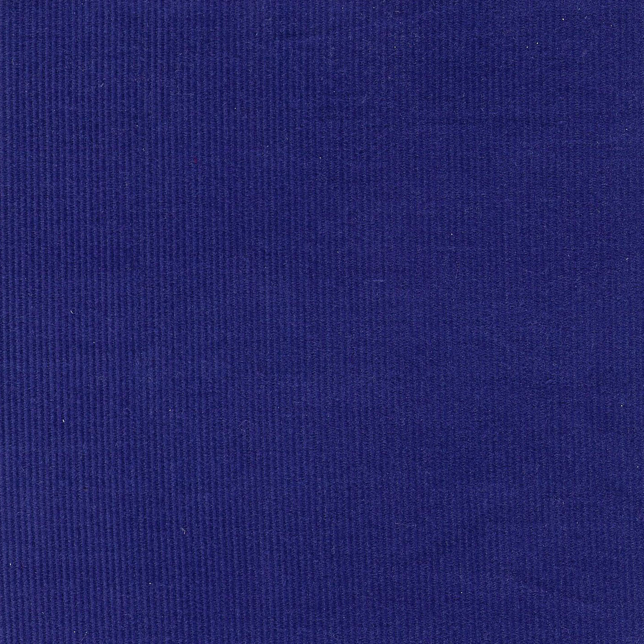 CORD-Royal Blue
