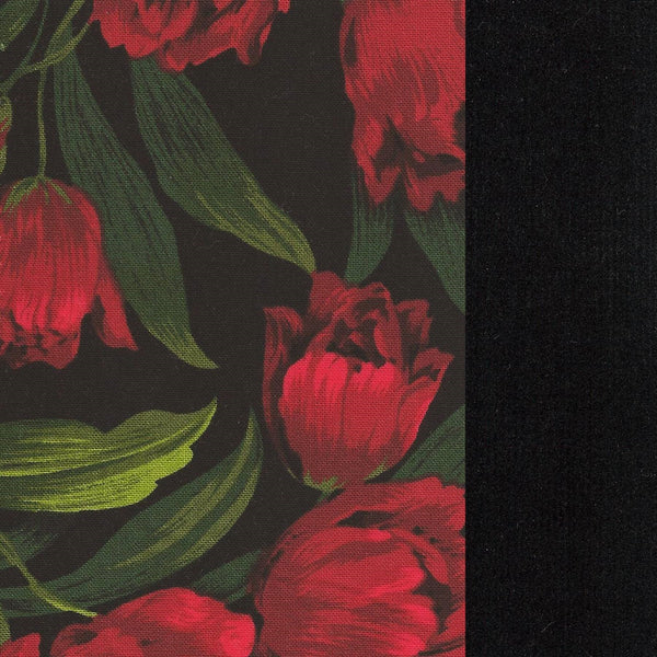 CC-CORD50