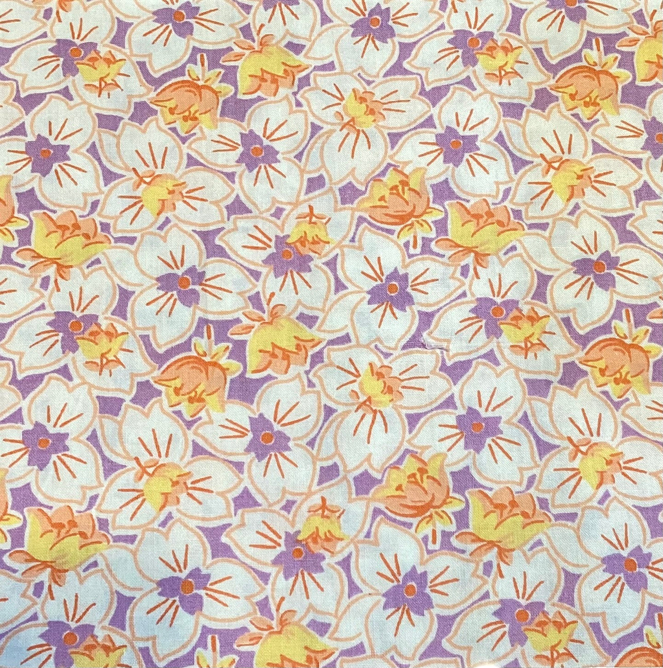 Fabric Scan 2